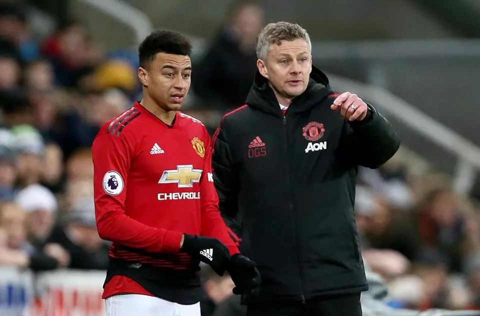 不成熟的赛 不成熟的赛